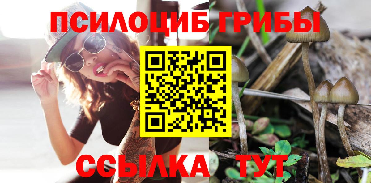 Унеча  Галлюциногенные грибы Psilocybine cubensis  Вход с VPN  Псилоцибиновые грибы MAGIC MUSHROOMS 