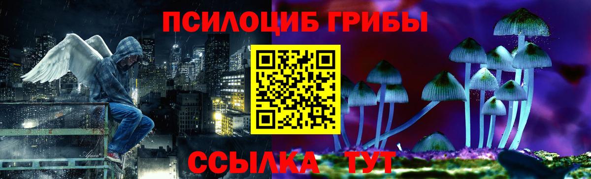 Галлюциногенные грибы GOLDEN TEACHER Унеча