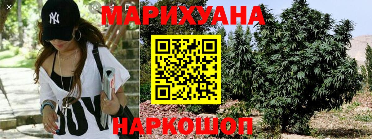 Канабис планчик  Каннабис планчик  Конопля OG Kush  Вход с VPN  Унеча 